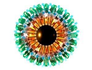 New Scientist. Science news and long reads from expert journalists, covering developments in science, technology, health and the environment on the website and the magazine.