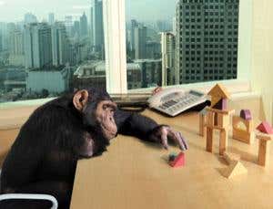 Simple minds: How animals think