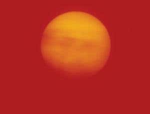 New Scientist. Science news and long reads from expert journalists, covering developments in science, technology, health and the environment on the website and the magazine.