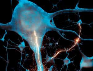 New Scientist. Science news and long reads from expert journalists, covering developments in science, technology, health and the environment on the website and the magazine.