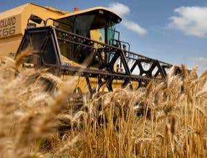 New Scientist. Science news and long reads from expert journalists, covering developments in science, technology, health and the environment on the website and the magazine.