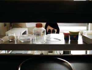 New Scientist. Science news and long reads from expert journalists, covering developments in science, technology, health and the environment on the website and the magazine.