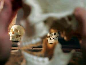 New Scientist. Science news and long reads from expert journalists, covering developments in science, technology, health and the environment on the website and the magazine.