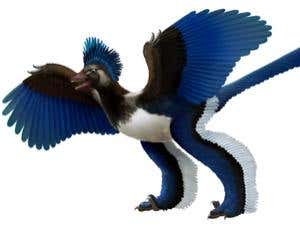 New Scientist. Science news and long reads from expert journalists, covering developments in science, technology, health and the environment on the website and the magazine.