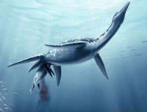 New Scientist. Science news and long reads from expert journalists, covering developments in science, technology, health and the environment on the website and the magazine.