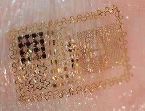 New Scientist. Science news and long reads from expert journalists, covering developments in science, technology, health and the environment on the website and the magazine.