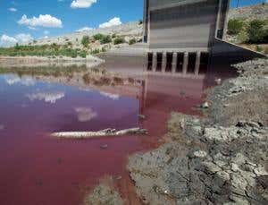 Is La Niña or a constipated jet stream frying Texas?