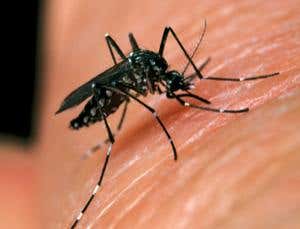 New Scientist. Science news and long reads from expert journalists, covering developments in science, technology, health and the environment on the website and the magazine.