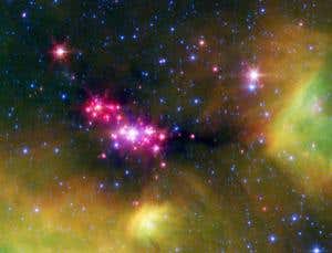 New Scientist. Science news and long reads from expert journalists, covering developments in science, technology, health and the environment on the website and the magazine.