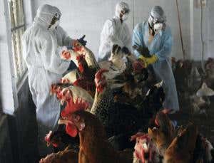 New Scientist. Science news and long reads from expert journalists, covering developments in science, technology, health and the environment on the website and the magazine.