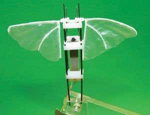 3D printing: Build your crazy robot ideas at home