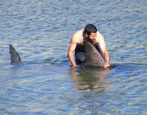 (Image Oceans Research)