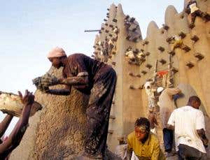 Selfless evolution: An idea rejected