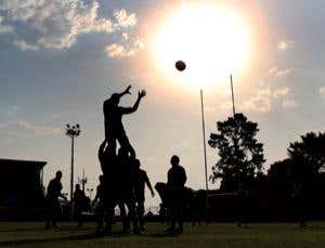 Selfless evolution: A new view of human origins