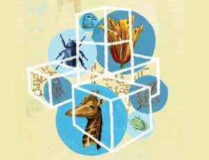 New Scientist. Science news and long reads from expert journalists, covering developments in science, technology, health and the environment on the website and the magazine.