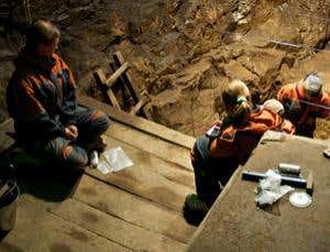 New Scientist. Science news and long reads from expert journalists, covering developments in science, technology, health and the environment on the website and the magazine.