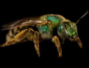 New Scientist. Science news and long reads from expert journalists, covering developments in science, technology, health and the environment on the website and the magazine.