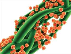 New Scientist. Science news and long reads from expert journalists, covering developments in science, technology, health and the environment on the website and the magazine.