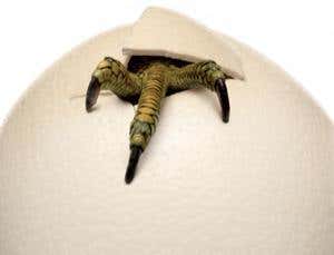 New Scientist. Science news and long reads from expert journalists, covering developments in science, technology, health and the environment on the website and the magazine.