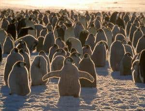 New Scientist. Science news and long reads from expert journalists, covering developments in science, technology, health and the environment on the website and the magazine.