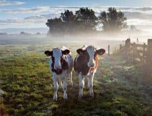 Cloud-making: Another human effect on the climate