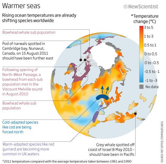 New Scientist. Science news and long reads from expert journalists, covering developments in science, technology, health and the environment on the website and the magazine.