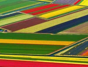 September photo competition: Farms and gardens