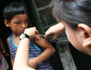 Vaccines enjoy a healthy return