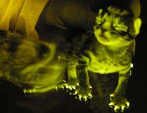 New Scientist. Science news and long reads from expert journalists, covering developments in science, technology, health and the environment on the website and the magazine.