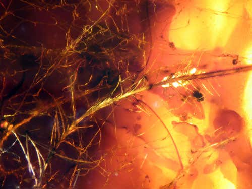 New Scientist. Science news and long reads from expert journalists, covering developments in science, technology, health and the environment on the website and the magazine.