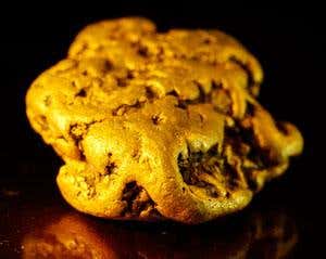 New Scientist. Science news and long reads from expert journalists, covering developments in science, technology, health and the environment on the website and the magazine.