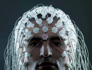 Habits form when brainwaves slow down