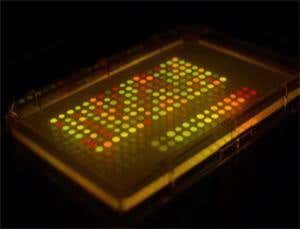 New Scientist. Science news and long reads from expert journalists, covering developments in science, technology, health and the environment on the website and the magazine.