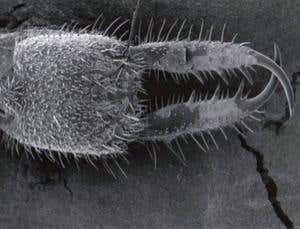 New Scientist. Science news and long reads from expert journalists, covering developments in science, technology, health and the environment on the website and the magazine.