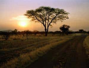 Pay as you go solar power makes energy cheaper