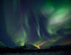 New Scientist. Science news and long reads from expert journalists, covering developments in science, technology, health and the environment on the website and the magazine.