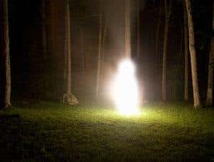 Universal intelligence: One test to rule them all