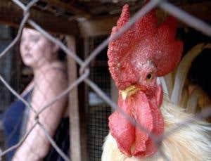 New Scientist. Science news and long reads from expert journalists, covering developments in science, technology, health and the environment on the website and the magazine.