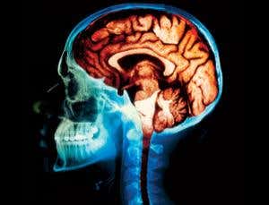 New Scientist. Science news and long reads from expert journalists, covering developments in science, technology, health and the environment on the website and the magazine.