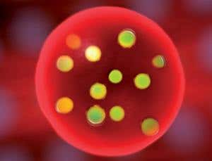 The atomic nucleus: Inside the atom