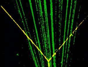 The atomic nucleus: Nuclear stability
