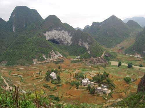 Ice-age nettles may survive in dark Chinese caves