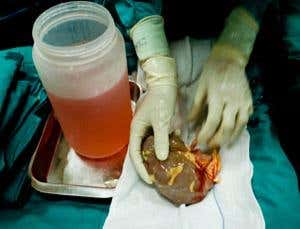 New Scientist. Science news and long reads from expert journalists, covering developments in science, technology, health and the environment on the website and the magazine.