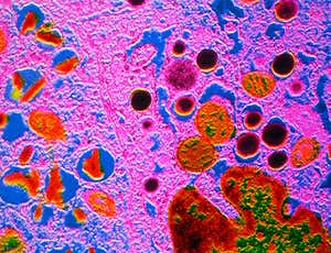 New Scientist. Science news and long reads from expert journalists, covering developments in science, technology, health and the environment on the website and the magazine.