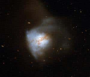 New Scientist. Science news and long reads from expert journalists, covering developments in science, technology, health and the environment on the website and the magazine.