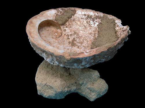 Abalone shell after removal of quartzite grinder cobble and some of the ochre-rich deposit