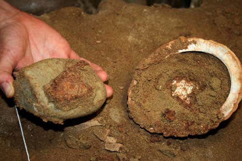 Abalone shell after removal of quartzite grindstone; the red deposit is the ochre-rich mixture that was in the shell and preserved under the cobble grinder
