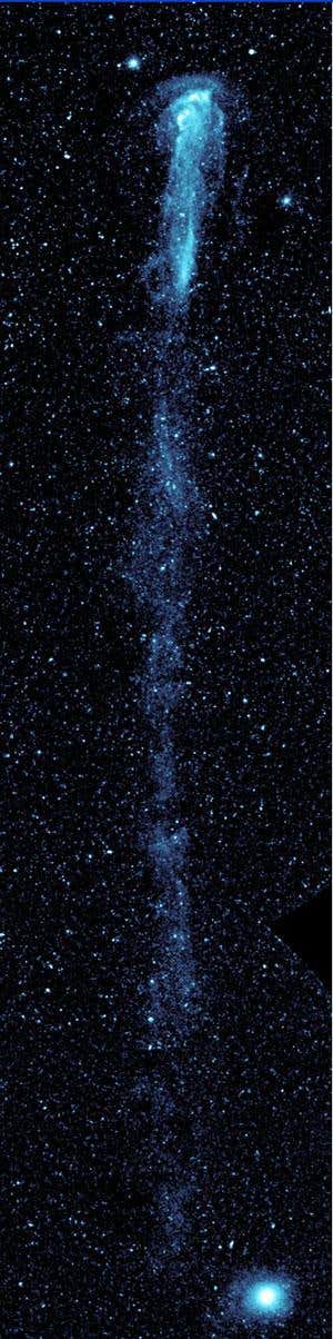 New Scientist. Science news and long reads from expert journalists, covering developments in science, technology, health and the environment on the website and the magazine.