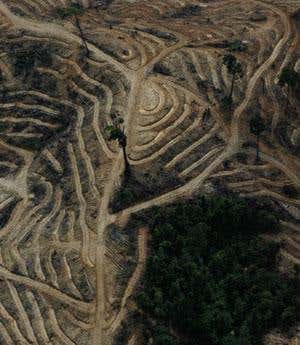 New Scientist. Science news and long reads from expert journalists, covering developments in science, technology, health and the environment on the website and the magazine.