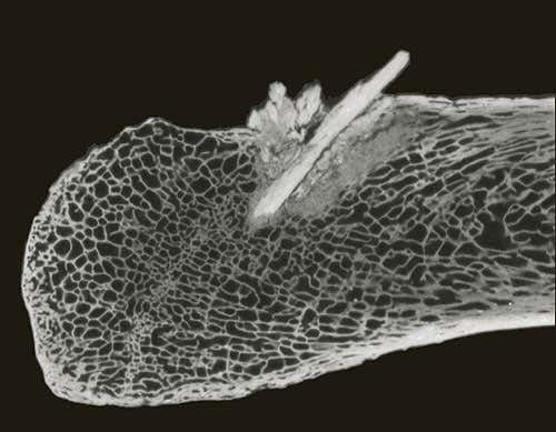 New Scientist. Science news and long reads from expert journalists, covering developments in science, technology, health and the environment on the website and the magazine.